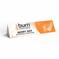Табак Burn 25г Berry Mix М