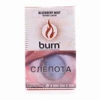 Табак Burn 100г Blueberry Mint М